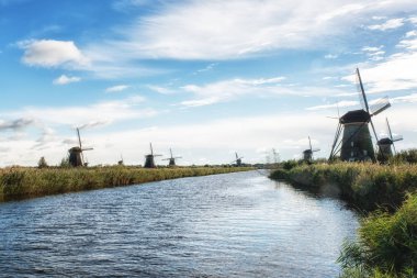 geleneksel Hollanda yel değirmenleri 