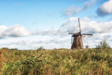 geleneksel Hollanda yel değirmenleri 