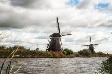 Hollanda yel değirmenleri doğal, Hollanda