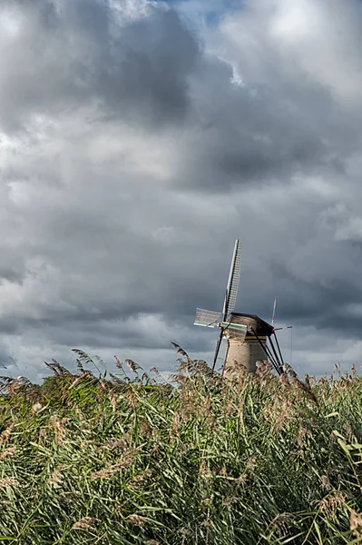 Tradiční Kinderdijk větrný mlýn — Stock fotografie