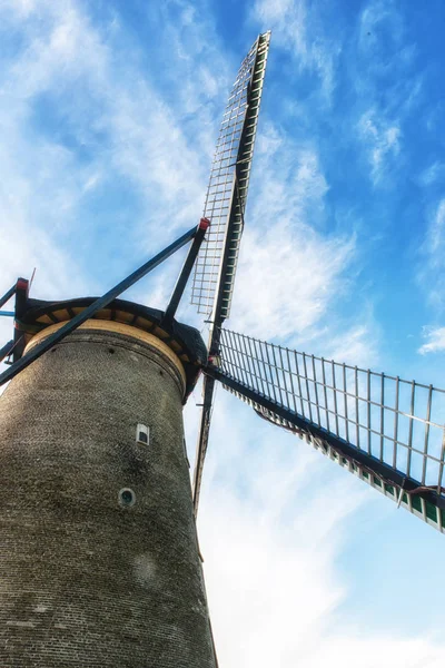 Düşük açılı yel değirmeni