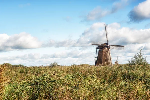 geleneksel Hollanda yel değirmenleri 