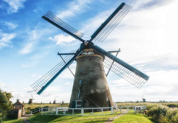Düşük açılı yel değirmeni