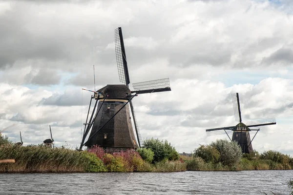 Hollanda yel değirmenleri doğal, Hollanda