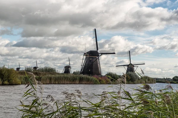 geleneksel Hollanda yel değirmenleri 