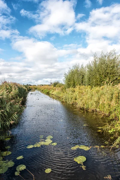 Hollandalı bir kanal