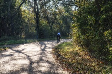 dağ bisikleti ormanda