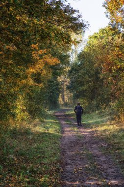 Açık hava etkinliği orman koşu