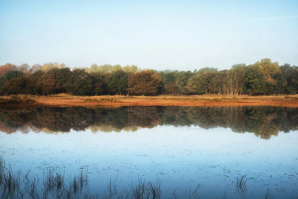 Reflexiones Bosque de Otoño —  Fotos de Stock