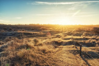 Hollandalı kıyı alanı