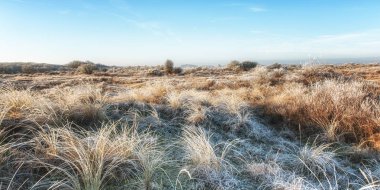 Hollandalı kıyı alanı
