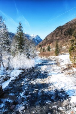 Kış güneş doğarken bir nehir karla kaplı ağaçlar ile