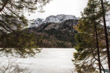 Göl ve dağların Salzkammergut, Avusturya için harika Vorderer Langbathsee, kışın