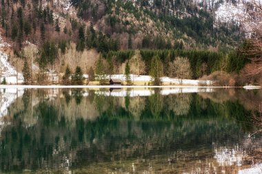 Orman yansıma ve göl evinde Avusturya Langbathsee