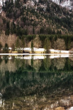 Orman yansıma ve göl evinde Avusturya Langbathsee