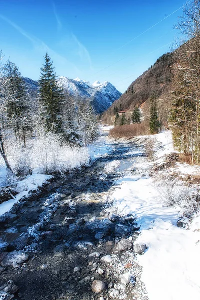 Amanecer Invierno Río Con Árboles Cubiertos Nieve — Foto de Stock