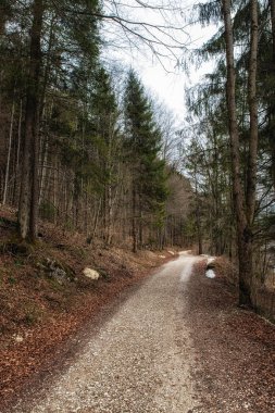 Salzkammergut, Avusturya Vorderer Langbathsee boyunca çalışan Trail