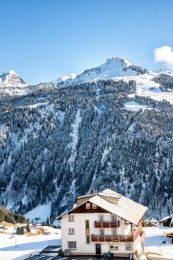 Avusturyalı bir Guesthouse