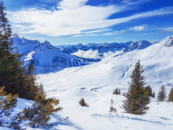 Лыжный Спорт Дамуле Австрия — стоковое фото
