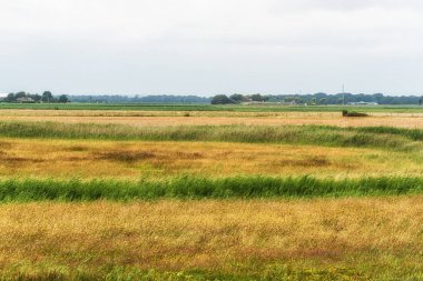 Hollandalı moor manzara 