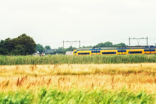 Trem holandês na paisagem rural — Fotografia de Stock