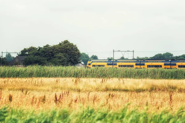 Trem holandês na paisagem rural — Fotografia de Stock