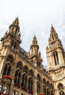Rathaus mimarisi, Belediye Binası, Viyana, Avusturya