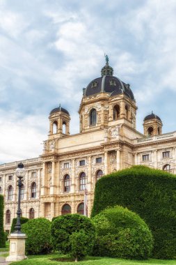 Kunsthistorisches Müzesi Viyana, Avusturya'da görünümünü