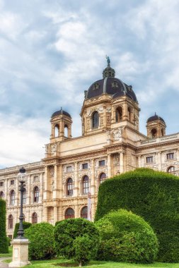 Kunsthistorisches Müzesi Viyana, Avusturya'da görünümünü