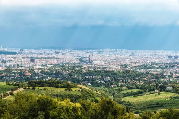 Viyana cityscape havadan görünümü