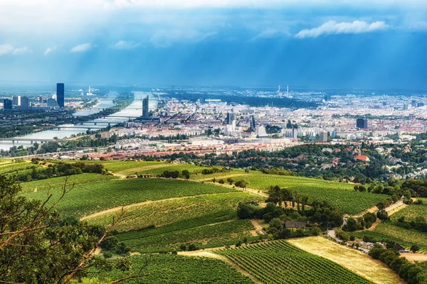 Letecký pohled na panoráma města Vídeň — Stock fotografie