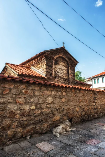 安息的狗和古老如画的街道在 Ohri 马其顿 — 图库照片