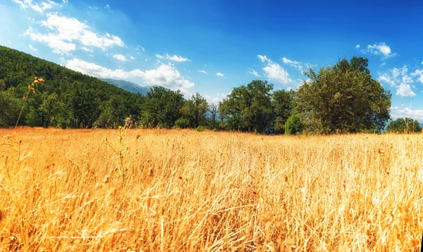 Hermosa vista del paisaje en el Parque Nacional Galicica, Macedonia — Foto de Stock