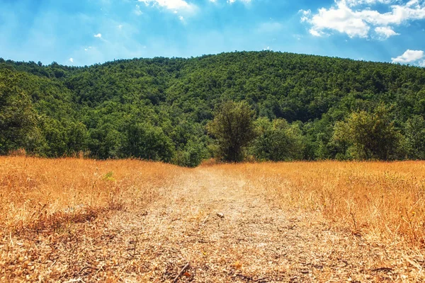 Beautiful Landscape View at Galicica National Park, Macedonia — Stock Photo, Image