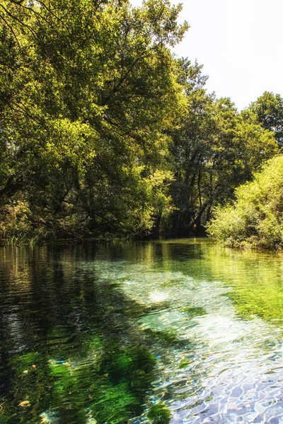 Nascentes do rio Black Drin perto de Ohrid, Macedónia — Fotografia de Stock