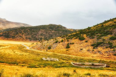 Eski taş koyun kalem