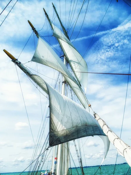 Sails, mast and ropes view from below of a classic sailing ship. — Stock Photo, Image