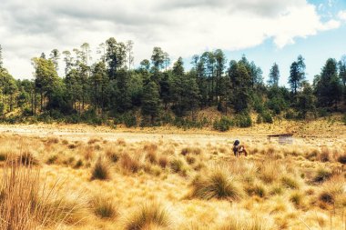 Doğa bakış Michoacan Meksika