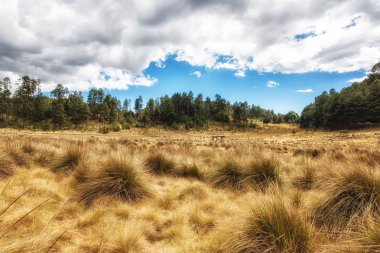 Doğa bakış Michoacan Meksika