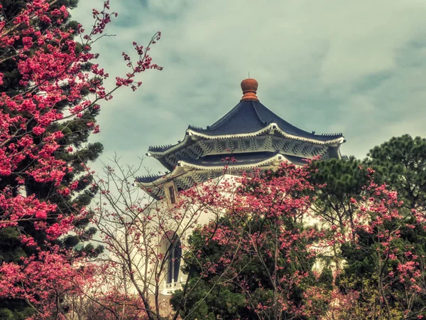 Chiang Kai-shek Memorial Hall met kersenboom bloesem in Taipei — Stockfoto