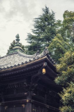 Tapınak ayrıntı Shinshoji Tapınağı, Narita, Japonya