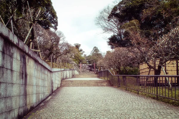 Naritasan Park w Naritasan Shinshoji. — Zdjęcie stockowe