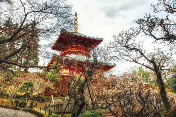 Pagode met kersenbloesem — Stockfoto