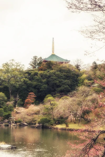 Geleneksel Japon tarzı Bahçe Tapınağı — Stok fotoğraf