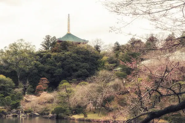 Traditioneller japanischer Tempelstil im Garten — Stockfoto