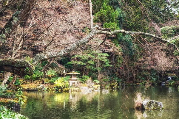 Japanischer Garten und Koi-Karpfen im Teich. — Stockfoto