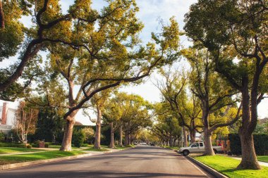 Los Angeles, Ca, Amerika Birleşik Devletleri - 02 Şubat 2018: Beverly Hills Street, Kaliforniya, ABD