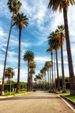 Los Angeles, Ca, Amerika Birleşik Devletleri - 02 Şubat 2018: Palmiye ağaçları Beverly Hills, Los Angeles, Kaliforniya, ABD sokak. Beverly Hills high-end alışveriş mekan ve ünlüler evleri ile ünlü