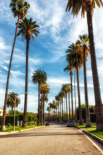 Los Angeles Usa Febrero 2018 Palm Trees Street Beverly Hills — Foto de Stock