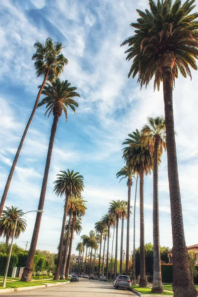 Los Angeles Usa Febrero 2018 Palm Trees Street Beverly Hills — Foto de Stock
